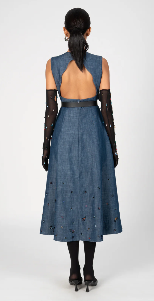 Celia Denim Dress